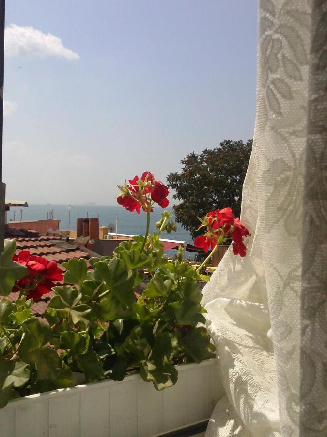 Buhara Family Hotel Istanboel